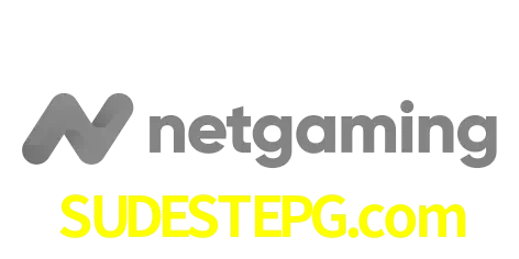 NetGaming